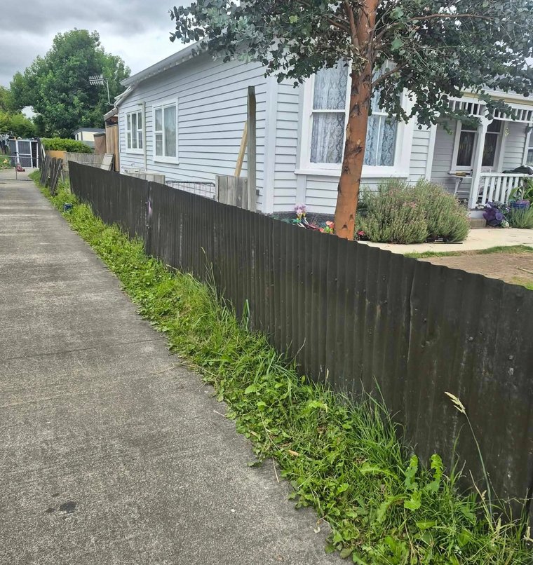 Napier fence before photo